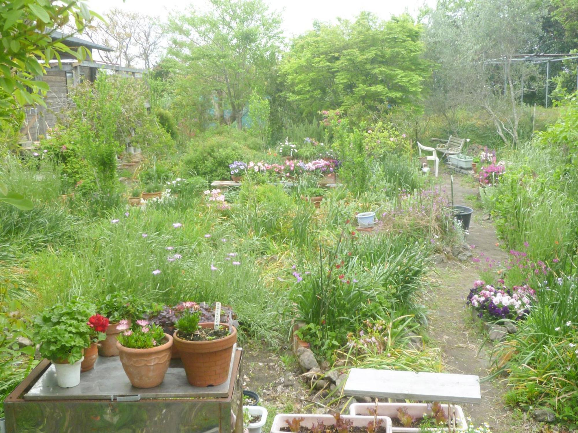 Pension Flora Tateyama  Buitenkant foto